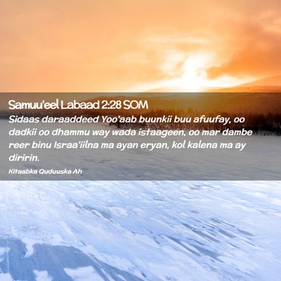 Picture 02 - Samuu'eel Labaad 2:28 SOM - Sidaas daraaddeed Yoo'aab buunkii buu afuufay, oo - Bible Verse Picture