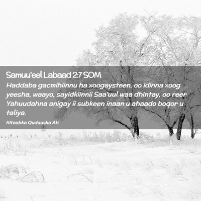Picture 02 - Samuu'eel Labaad 2:7 SOM - Haddaba gacmihiinnu ha xoogaysteen, oo idinna - Bible Verse Picture