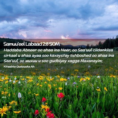 Picture 02 - Samuu'eel Labaad 2:8 SOM - Haddaba Abneer oo ahaa ina Neer, oo Saa'uul - Bible Verse Picture