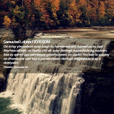 Picture 02 - Samuu'eel Labaad 20:15 SOM - Oo intay yimaadeen ayay isagii ku hareereeyeen - Bible Verse Picture
