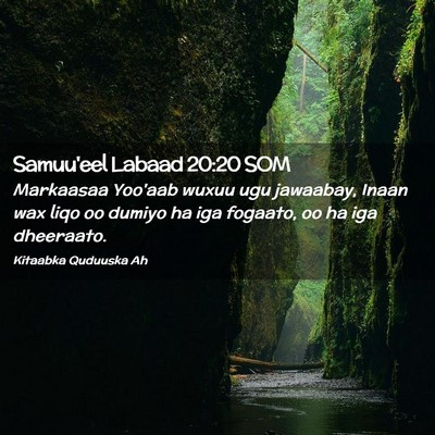 Picture 02 - Samuu'eel Labaad 20:20 SOM - Markaasaa Yoo'aab wuxuu ugu jawaabay, Inaan wax - Bible Verse Picture