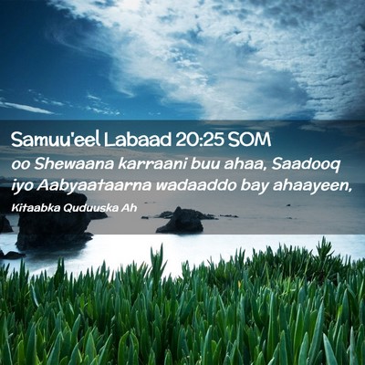 Picture 02 - Samuu'eel Labaad 20:25 SOM - oo Shewaana karraani buu ahaa, Saadooq iyo - Bible Verse Picture