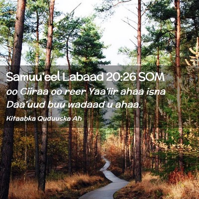 Picture 02 - Samuu'eel Labaad 20:26 SOM - oo Ciiraa oo reer Yaa'iir ahaa isna Daa'uud buu - Bible Verse Picture