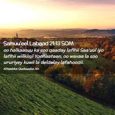 Picture 02 - Samuu'eel Labaad 21:13 SOM - oo halkaasuu ka soo qaaday lafihii Saa'uul iyo - Bible Verse Picture