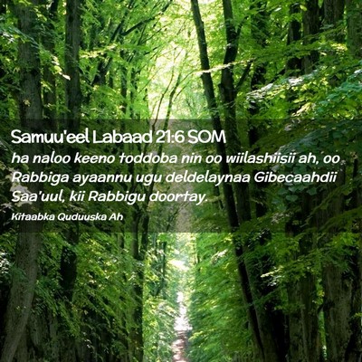 Picture 02 - Samuu'eel Labaad 21:6 SOM - ha naloo keeno toddoba nin oo wiilashiisii ah, oo - Bible Verse Picture