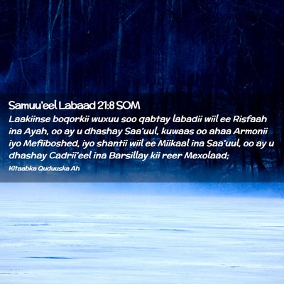 Picture 02 - Samuu'eel Labaad 21:8 SOM - Laakiinse boqorkii wuxuu soo qabtay labadii wiil - Bible Verse Picture