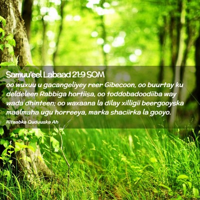 Picture 02 - Samuu'eel Labaad 21:9 SOM - oo wuxuu u gacangeliyey reer Gibecoon, oo buurtay - Bible Verse Picture