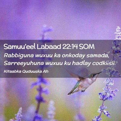 Picture 02 - Samuu'eel Labaad 22:14 SOM - Rabbiguna wuxuu ka onkoday samada, Sarreeyuhuna - Bible Verse Picture