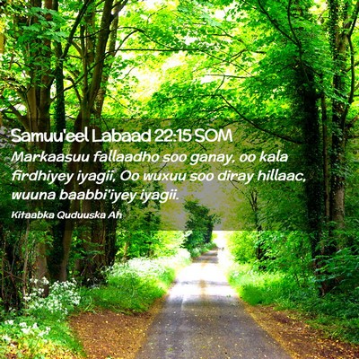 Picture 02 - Samuu'eel Labaad 22:15 SOM - Markaasuu fallaadho soo ganay, oo kala firdhiyey - Bible Verse Picture