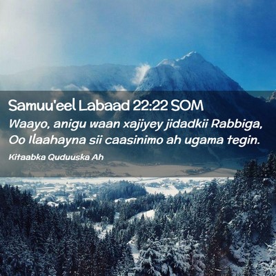 Picture 02 - Samuu'eel Labaad 22:22 SOM - Waayo, anigu waan xajiyey jidadkii Rabbiga, Oo - Bible Verse Picture