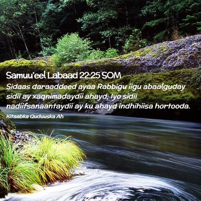 Picture 02 - Samuu'eel Labaad 22:25 SOM - Sidaas daraaddeed ayaa Rabbigu iigu abaalguday - Bible Verse Picture