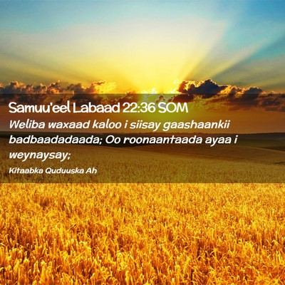 Picture 02 - Samuu'eel Labaad 22:36 SOM - Weliba waxaad kaloo i siisay gaashaankii - Bible Verse Picture