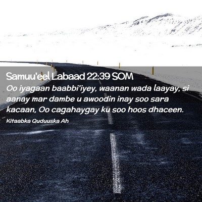Picture 02 - Samuu'eel Labaad 22:39 SOM - Oo iyagaan baabbi'iyey, waanan wada laayay, si - Bible Verse Picture