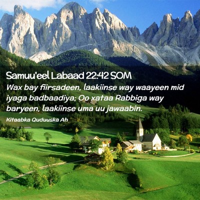 Picture 02 - Samuu'eel Labaad 22:42 SOM - Wax bay fiirsadeen, laakiinse way waayeen mid - Bible Verse Picture