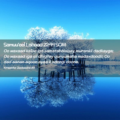 Picture 02 - Samuu'eel Labaad 22:44 SOM - Oo waxaad kaloo iga samatabbixisay murankii - Bible Verse Picture