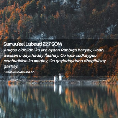 Picture 02 - Samuu'eel Labaad 22:7 SOM - Anigoo cidhiidhi ku jira ayaan Rabbiga baryay, - Bible Verse Picture