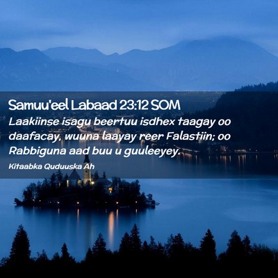 Picture 02 - Samuu'eel Labaad 23:12 SOM - Laakiinse isagu beertuu isdhex taagay oo - Bible Verse Picture
