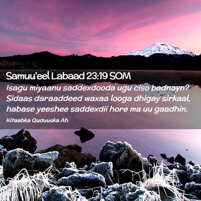 Picture 02 - Samuu'eel Labaad 23:19 SOM - Isagu miyaanu saddexdooda ugu ciso badnayn? - Bible Verse Picture