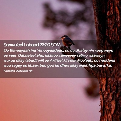 Picture 02 - Samuu'eel Labaad 23:20 SOM - Oo Benaayaah ina Yehooyaadaac, oo uu dhalay nin - Bible Verse Picture