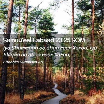 Picture 02 - Samuu'eel Labaad 23:25 SOM - iyo Shammaah oo ahaa reer Xarod, iyo Eliiqaa oo - Bible Verse Picture