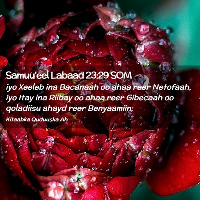 Picture 02 - Samuu'eel Labaad 23:29 SOM - iyo Xeeleb ina Bacanaah oo ahaa reer Netofaah, - Bible Verse Picture