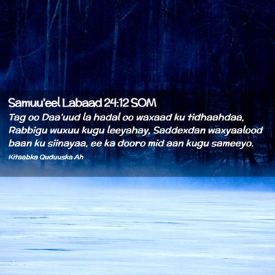 Picture 02 - Samuu'eel Labaad 24:12 SOM - Tag oo Daa'uud la hadal oo waxaad ku tidhaahdaa, - Bible Verse Picture