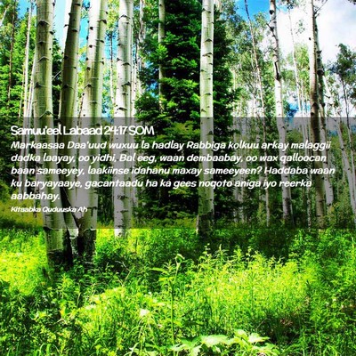 Picture 02 - Samuu'eel Labaad 24:17 SOM - Markaasaa Daa'uud wuxuu la hadlay Rabbiga kolkuu - Bible Verse Picture