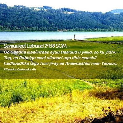 Picture 02 - Samuu'eel Labaad 24:18 SOM - Oo Gaadna maalintaas ayuu Daa'uud u yimid, oo ku - Bible Verse Picture