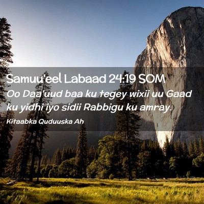 Picture 02 - Samuu'eel Labaad 24:19 SOM - Oo Daa'uud baa ku tegey wixii uu Gaad ku yidhi - Bible Verse Picture