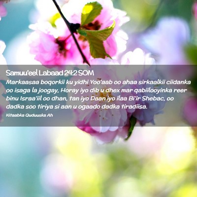 Picture 02 - Samuu'eel Labaad 24:2 SOM - Markaasaa boqorkii ku yidhi Yoo'aab oo ahaa - Bible Verse Picture
