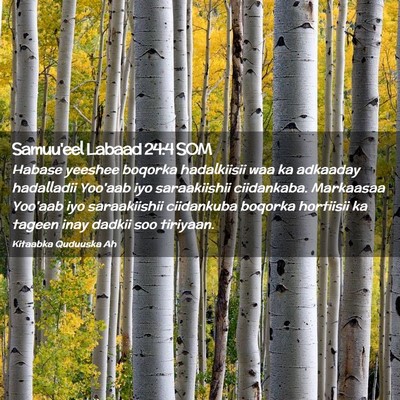 Picture 02 - Samuu'eel Labaad 24:4 SOM - Habase yeeshee boqorka hadalkiisii waa ka - Bible Verse Picture