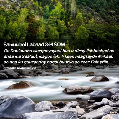 Picture 02 - Samuu'eel Labaad 3:14 SOM - Oo Daa'uudna wargeeyayaal buu u diray Iishboshed - Bible Verse Picture
