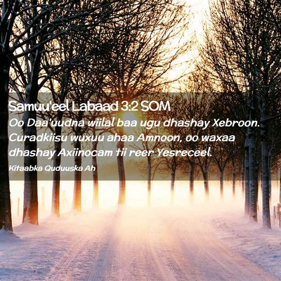 Picture 02 - Samuu'eel Labaad 3:2 SOM - Oo Daa'uudna wiilal baa ugu dhashay Xebroon. - Bible Verse Picture