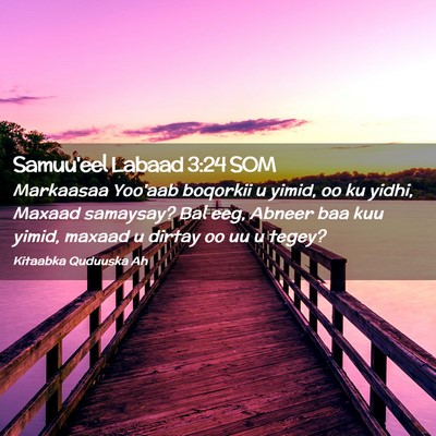 Picture 02 - Samuu'eel Labaad 3:24 SOM - Markaasaa Yoo'aab boqorkii u yimid, oo ku yidhi, - Bible Verse Picture