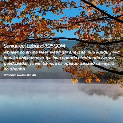 Picture 02 - Samuu'eel Labaad 3:25 SOM - Abneer oo ah ina Neer waad garanaysaa inuu kuugu - Bible Verse Picture