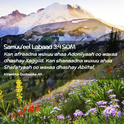 Picture 02 - Samuu'eel Labaad 3:4 SOM - Kan afraadna wuxuu ahaa Adoniiyaah oo waxaa - Bible Verse Picture
