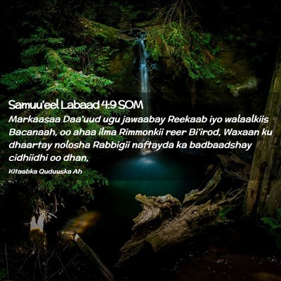 Picture 02 - Samuu'eel Labaad 4:9 SOM - Markaasaa Daa'uud ugu jawaabay Reekaab iyo - Bible Verse Picture