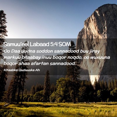 Picture 02 - Samuu'eel Labaad 5:4 SOM - Oo Daa'uudna soddon sannadood buu jiray markuu - Bible Verse Picture