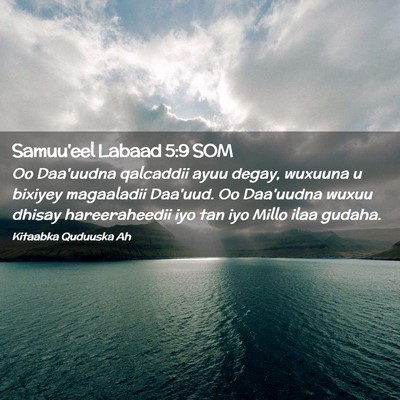 Picture 02 - Samuu'eel Labaad 5:9 SOM - Oo Daa'uudna qalcaddii ayuu degay, wuxuuna u - Bible Verse Picture