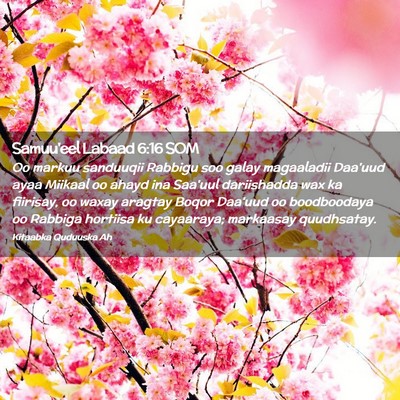 Picture 02 - Samuu'eel Labaad 6:16 SOM - Oo markuu sanduuqii Rabbigu soo galay magaaladii - Bible Verse Picture