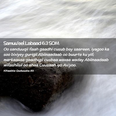 Picture 02 - Samuu'eel Labaad 6:3 SOM - Oo sanduuqii Ilaah gaadhi cusub bay saareen, - Bible Verse Picture