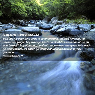 Picture 02 - Samuu'eel Labaad 6:5 SOM - Daa'uud iyo reer binu Israa'iil oo dhammuna - Bible Verse Picture