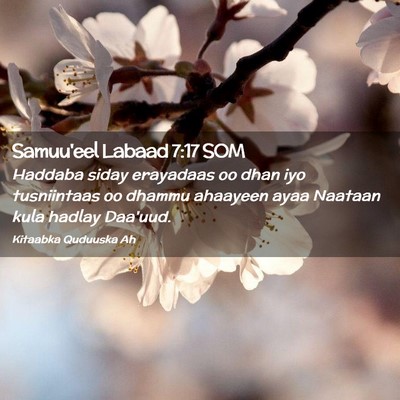 Picture 02 - Samuu'eel Labaad 7:17 SOM - Haddaba siday erayadaas oo dhan iyo tusniintaas - Bible Verse Picture