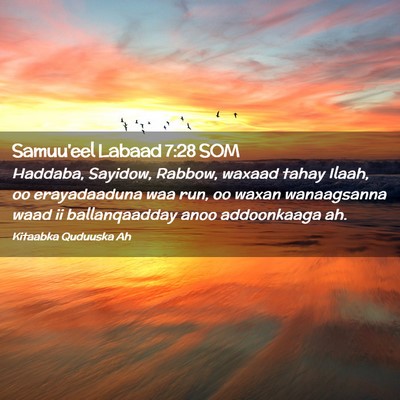 Picture 02 - Samuu'eel Labaad 7:28 SOM - Haddaba, Sayidow, Rabbow, waxaad tahay Ilaah, oo - Bible Verse Picture