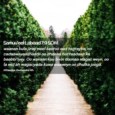 Picture 02 - Samuu'eel Labaad 7:9 SOM - waanan kula jiray meel kastoo aad tagtayba, oo - Bible Verse Picture