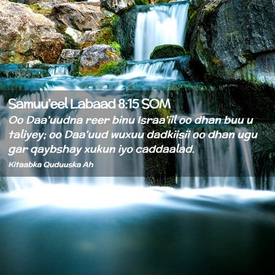 Picture 02 - Samuu'eel Labaad 8:15 SOM - Oo Daa'uudna reer binu Israa'iil oo dhan buu u - Bible Verse Picture