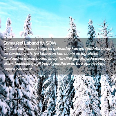Picture 02 - Samuu'eel Labaad 8:4 SOM - Oo Daa'uud wuxuu isagii ka qabsaday kun iyo - Bible Verse Picture
