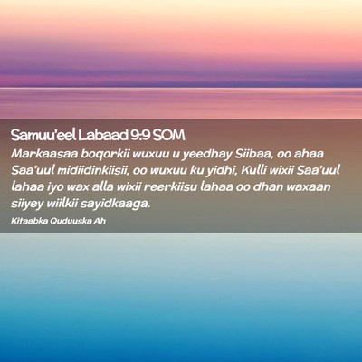 Picture 02 - Samuu'eel Labaad 9:9 SOM - Markaasaa boqorkii wuxuu u yeedhay Siibaa, oo - Bible Verse Picture