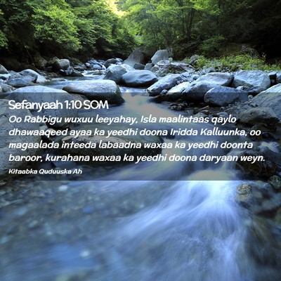 Picture 02 - Sefanyaah 1:10 SOM - Oo Rabbigu wuxuu leeyahay, Isla maalintaas qaylo - Bible Verse Picture