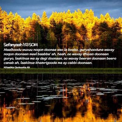 Picture 02 - Sefanyaah 1:13 SOM - Maalkoodu wuxuu noqon doonaa wax la boobo, - Bible Verse Picture